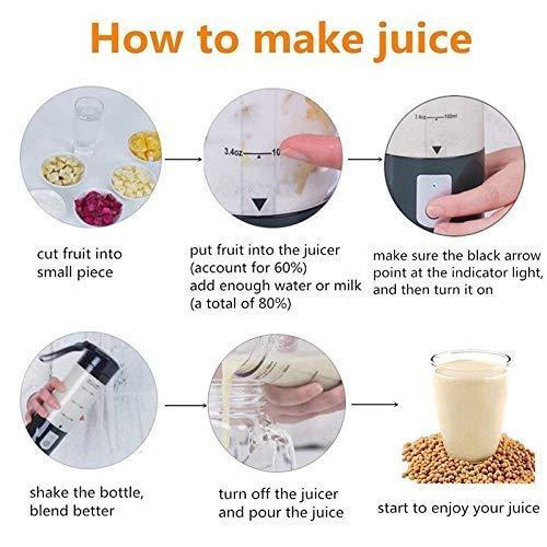 Portable Juicer (380 ml)