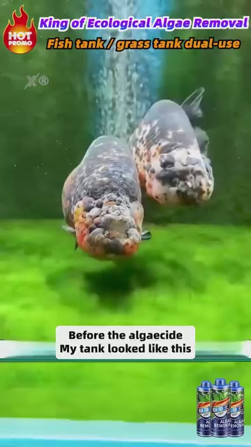 Algae Remover Fish Tank Removes Green Algae Fish Pond Algaecide Moss Removal
